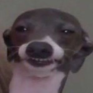 Meet your Posher, Punchy